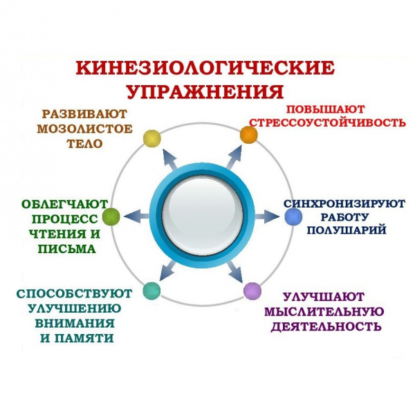 Кинезиологические упражнения помогают улучшить взаимодействие между полушариями мозга